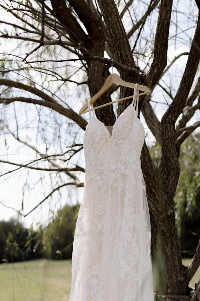 Wedding dress hanging in a weeping willow tree at the wedding venue